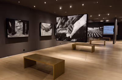 Gallery 11/07/95 won the Best Interior Award